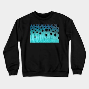 Ice Trout Crewneck Sweatshirt